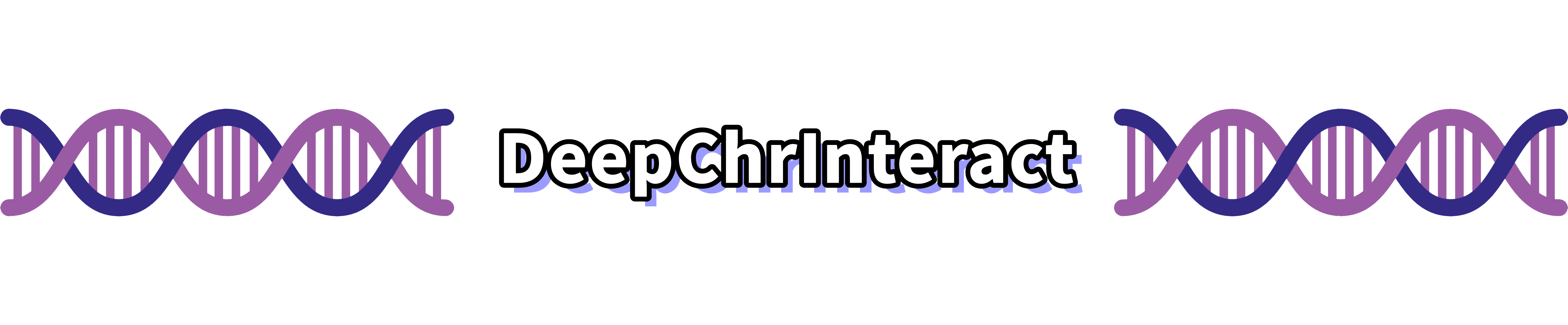 _images/div.png