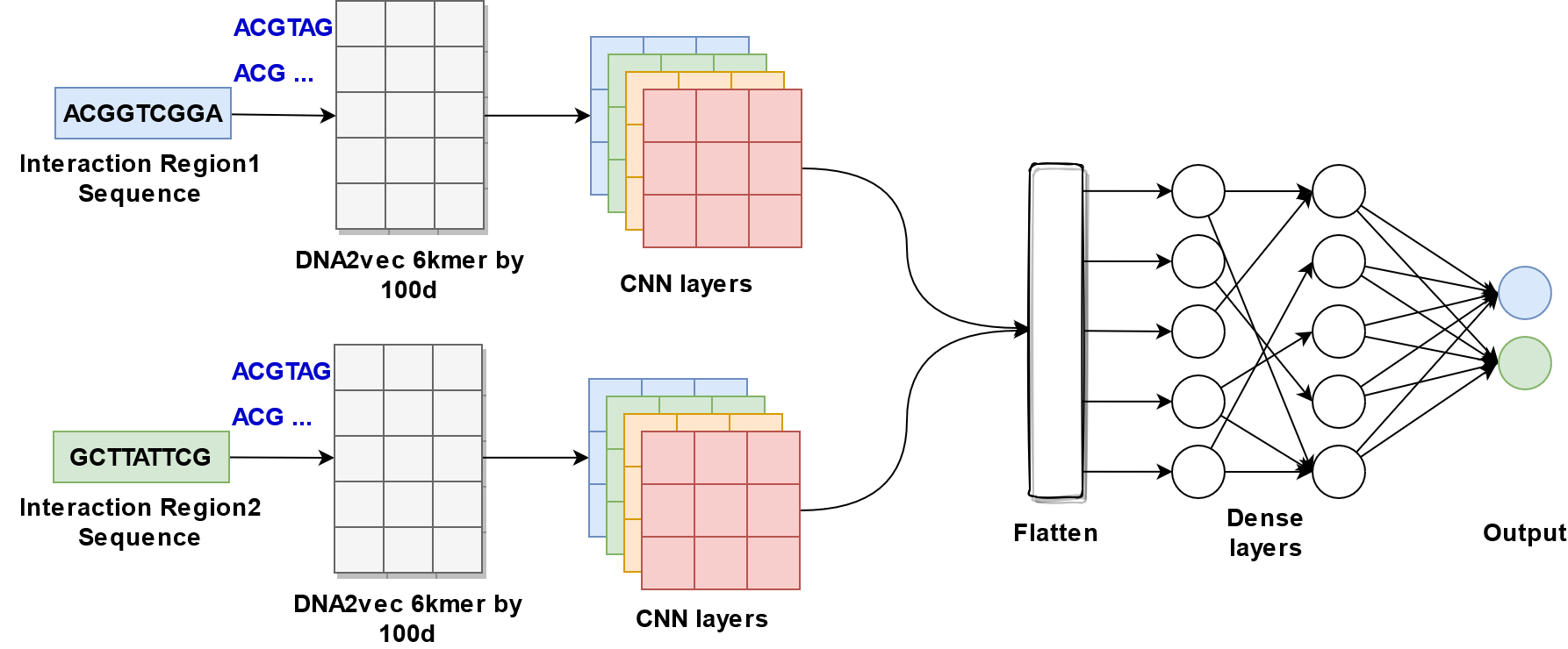 _images/embedding_cnn_two_branch.png